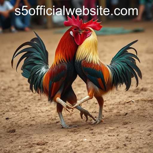 Exploring the Intricacies of Sabong Games with S5 Official Website